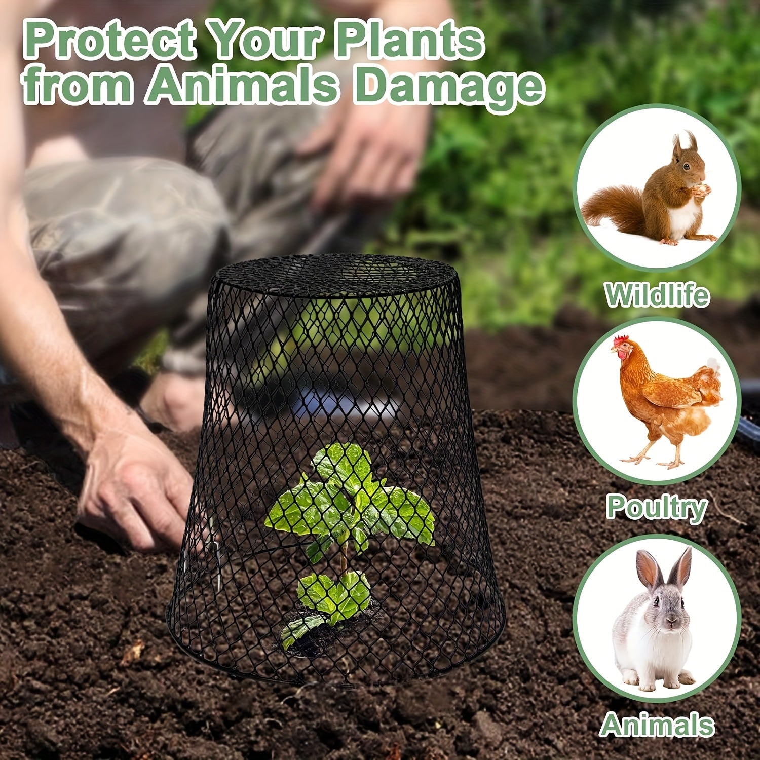 10pcs Chicken Wire Cloche Plant Covers Garden Netting Metal Heavy Duty Plant Protectors from Animals for Keeping Bunnies Chicken Squirrels Birds Other Out (9.13×9.13in)