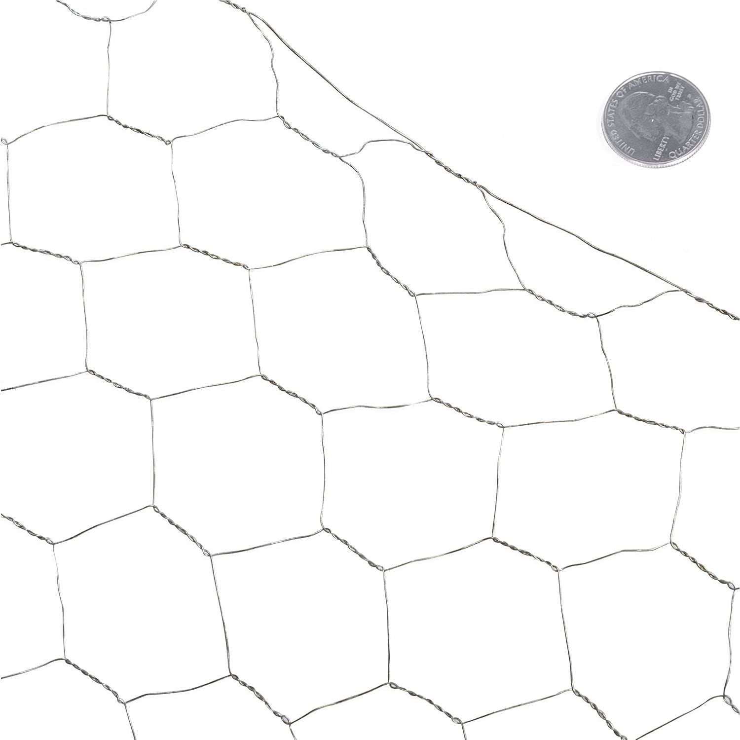 CAPHAUS 20 Gauge Galvanized Poultry Hex Netting with 2 inch Mesh