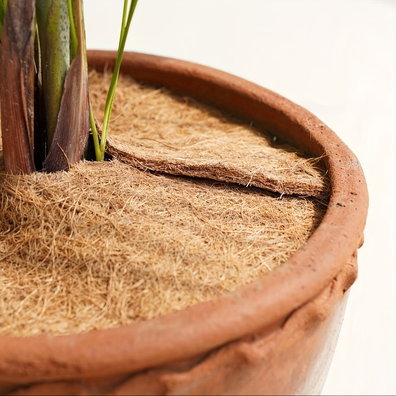 7 Pieces Of Coconut Fiber Cover Ring Tree Protection Mat, 15.7 Inch Coconut Shell Tree Protection, Tree Ring Mat Tree Tray Plant Mulch, Suitable For Indoor Or Outdoor Use