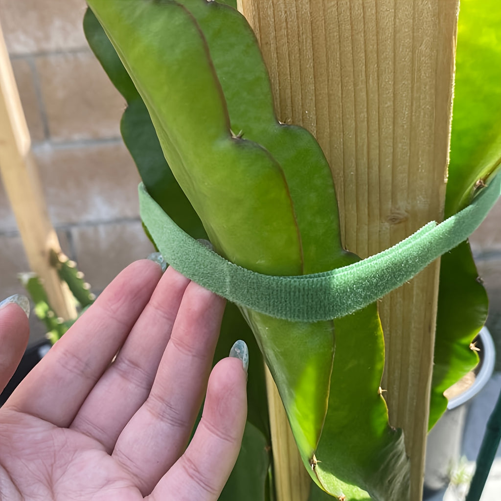Premium Upgraded 10pcs/20pcs/40pcs, Small Garden Magic Tape, Plant Binding, Tree Branch Fixing, Gardening Supplies, Balcony Beauty, Planter Accessories, Adjustable Plant Support, Strong Handle, Reusable Nylon Tie 39.4 Inches/roll