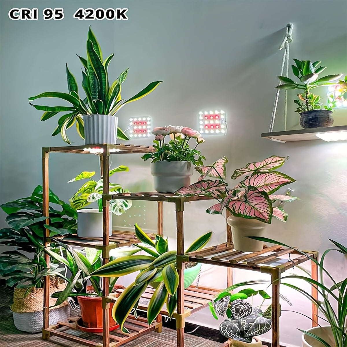 Dommia Full Spectrum LED Grow Light Featuring Adjustable Brightness, Optical Lens, And a Timer for 6, 12, Or 16 Hours - Powered by USB, Ideal for Indoor Plants And Suitable for Gardening Under Cabinets
