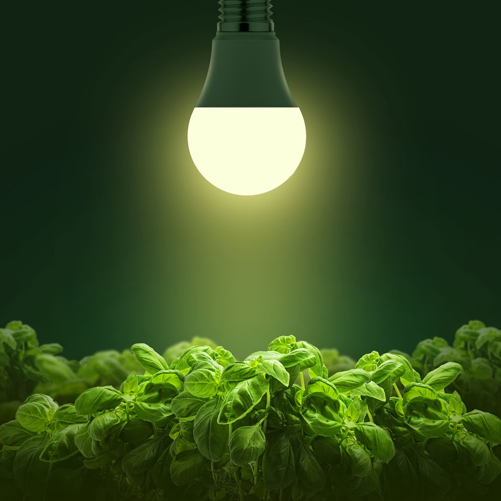 2/4/6/12pcs Grow Light Bulbs, LED Grow Light Bulb A19 Bulb, Full Spectrum Grow Light Bulb, Plant Light Bulbs E26 Base, 9W Grow Bulb 100W Equivalent, Grow Light for Indoor Plants, Seed Starting