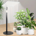 Indoor Plant Growth Lights, Full Spectrum Tabletop Grow Lamp, LED Bonsai Houseplant Light with On/Off Switch, Adjustable Height from 11.81 to 23.62 Inches, Featuring a Timer for 3, 9, Or 12 Hours in Both White And Warm White