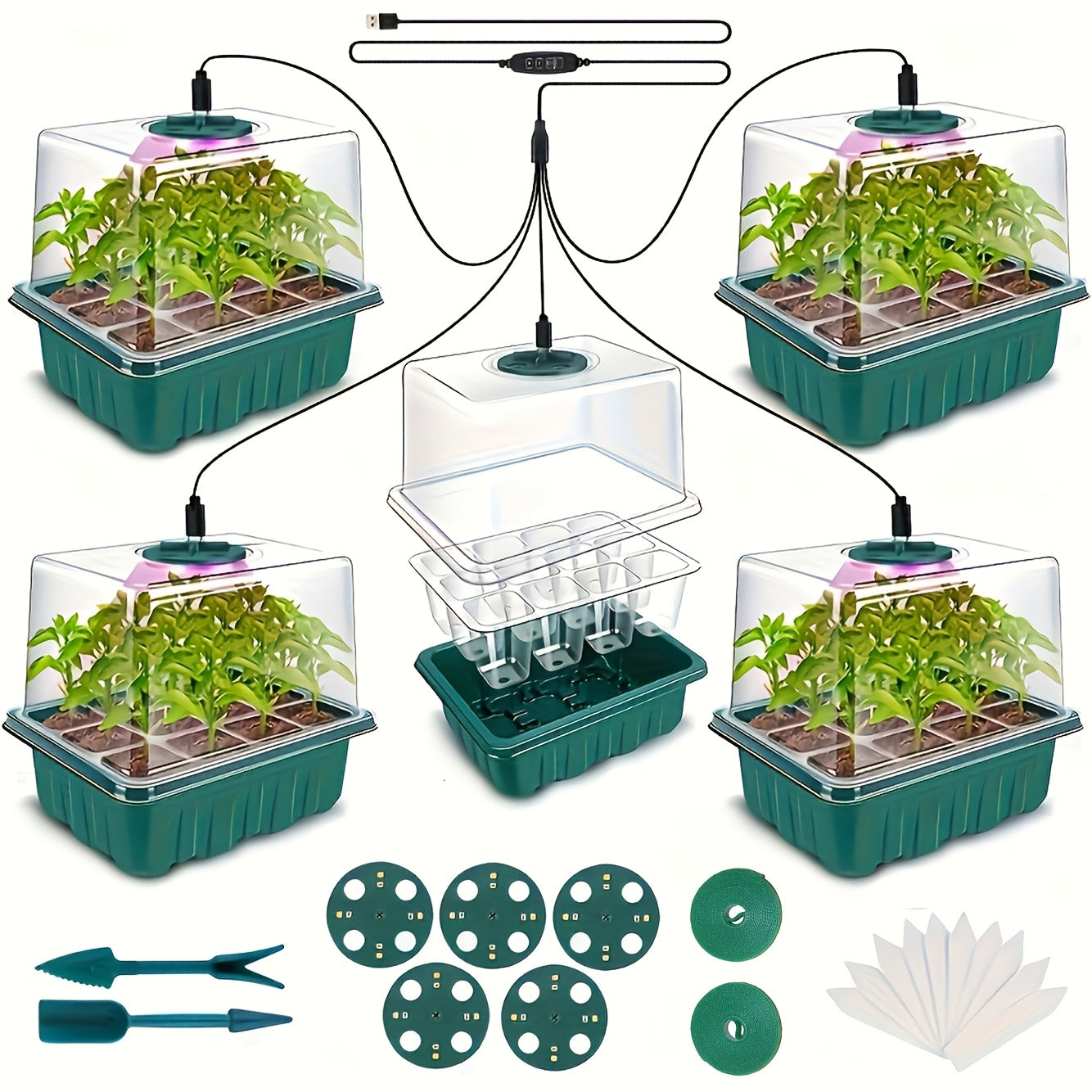 A Complete Seed Germination Kit Featuring a 5-Pack Seedling Tray Equipped with a Digital Timer, a Humidity Dome, an Adjustable LED Grow Light, And a Safe Indoor Greenhouse System for Seedlings
