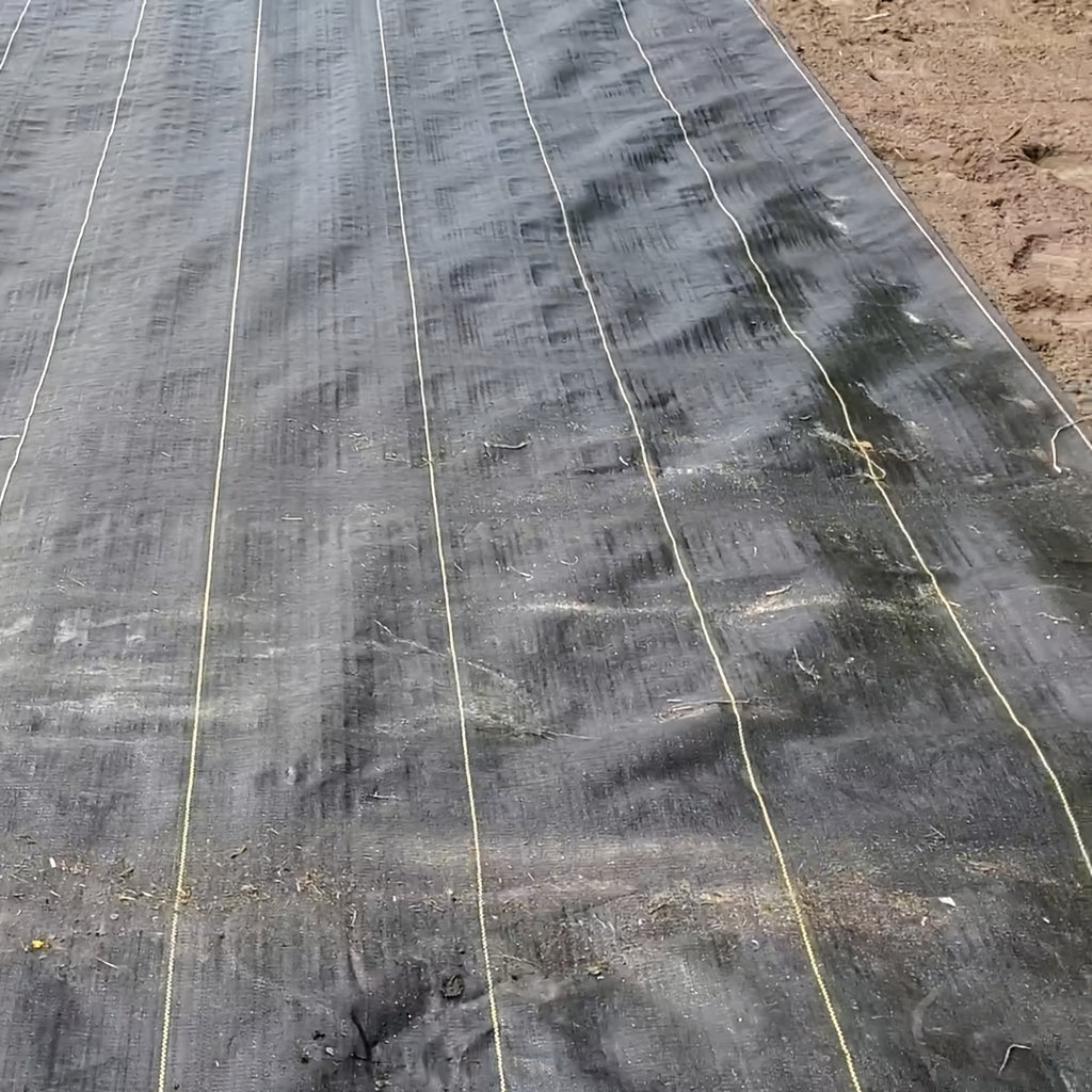 Grass Proof Fabric Lane Fabric, Commercial Grade Landscape Fabric, Garden Grass Proof Fabric Heavy-Duty, Geotextile Bottom Gravel, Ground Covering Drainage Fabric, Weed Mat