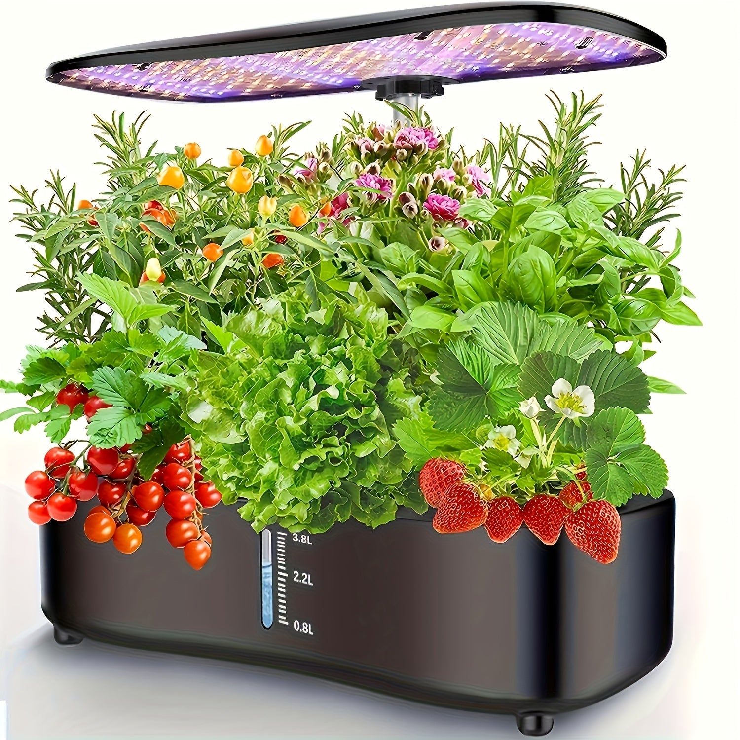 Large Tank Hydroponics Growing System 12 Pods, Herb Garden Kit Indoor with Grow Lights, Plants Germination Kit with Quiet Water Pump, Auto Timer, Height Adjustable to 20", Gardening Gifts Home Decor
