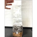 GALNUT Magical 2 lb All In One Grow Bags with Sterile Grain and CVG Substrate for Growing Manure Loving Mushroom Grow Bag Kit