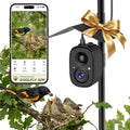 HIXX Smart Bird Feeder With Camera, AI Identify Birds & Auto Capture, 2K HD Live Camera Birdwatching With Color Night Vision For Bird Lovers Gifts