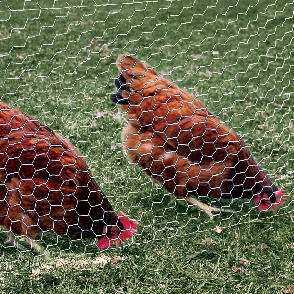 CAPHAUS 20 Gauge Galvanized Poultry Hex Netting with 2 inch Mesh